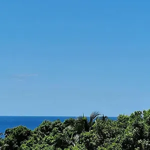 Appartement Joli T2 En Bas De Vue Jardin Et, Vieux-Habitants